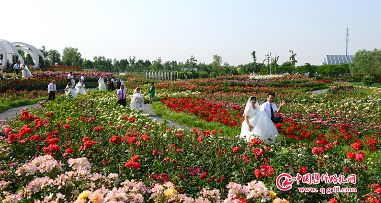 北京集体婚礼:2020年10月31日第36届“爱情海”集体婚礼